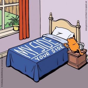 cat bed joke.jpg