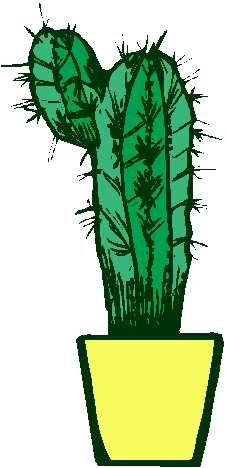 cactus-8.jpg