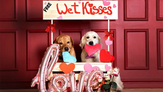Dogpickuplines.jpg
