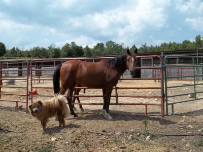 100_0075.JPG 100_0075.JPG