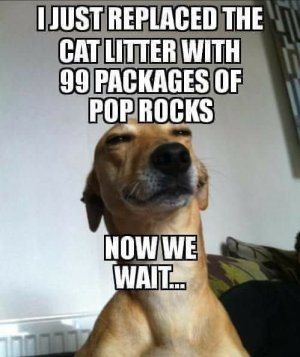 poprocks.jpg