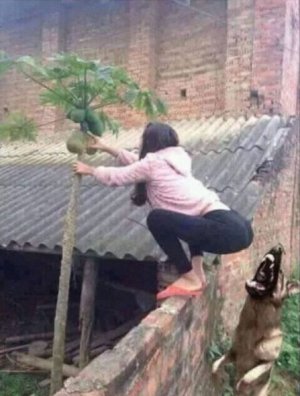 6a662083bedf3dce092a1247421a3dd8.jpg