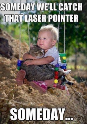 thumbnail_image007.jpg
