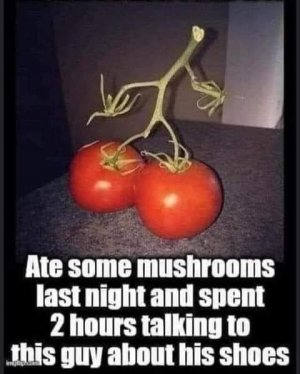 FB_IMG_1707038687673.jpg