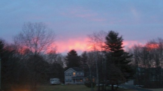 dawn Feb 9 2024.jpg