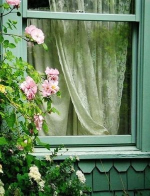 tumblr_e27f3fbd0932cff2e529c1e10358cf1e_d897e3a0_1280.jpg