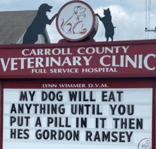 pillinit.jpg
