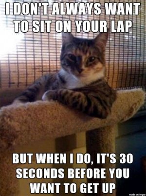 sitonlap.jpg