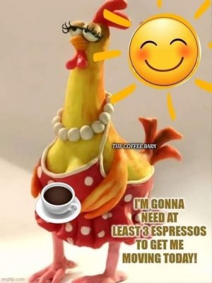 6b6e8a0cf1bee631550f1015958d78fd[1].jpg
