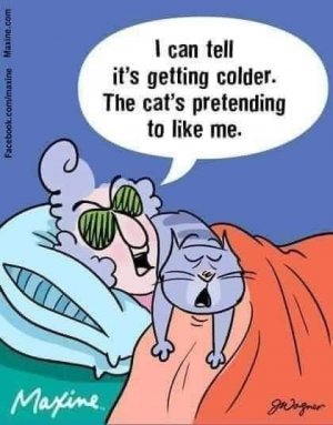 FB_IMG_1707568953581.jpg