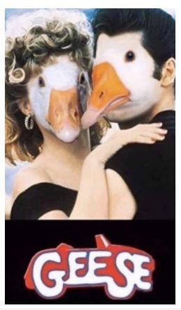u0iytd.JPG