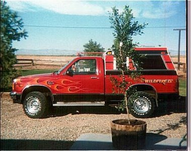 s10.jpg