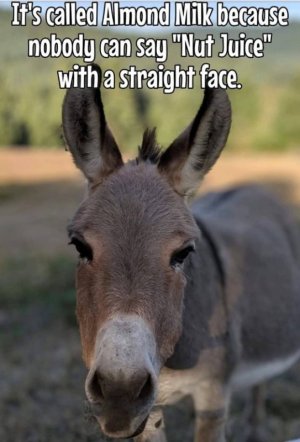 14a12e5d634f1ee942df493c22513209.jpg