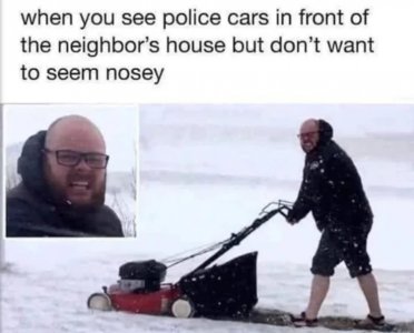 Cops.jpg