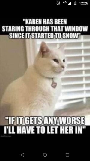 IMG_6533.jpeg