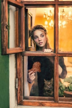 cattitude couple.jpg