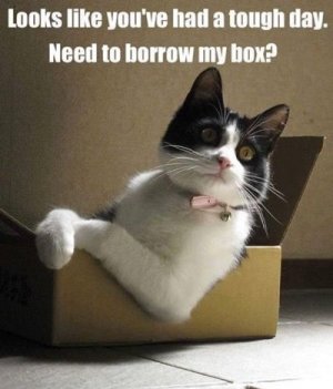 borrowbox.jpg