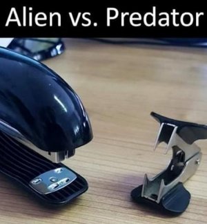 alienvspredator.jpg