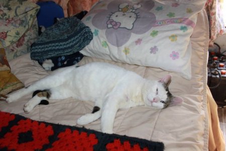 bed.jpg