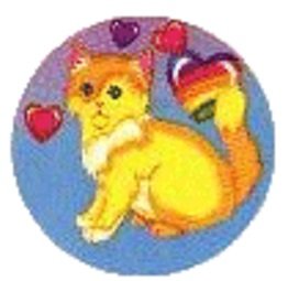 yellowcat.jpg