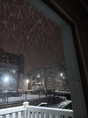 20240213_041803.jpeg