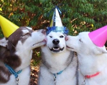 Kiss @.jpg