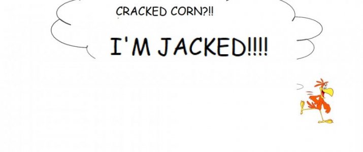 CRACKED.jpg