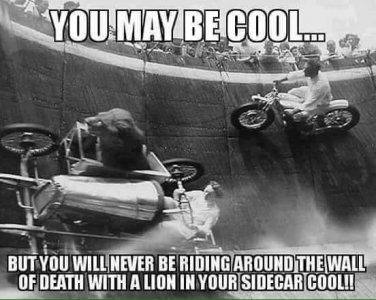 cool.jpg