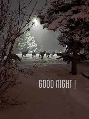 5EB32C1D-6C8C-4207-B18E-198923CFC744.jpeg