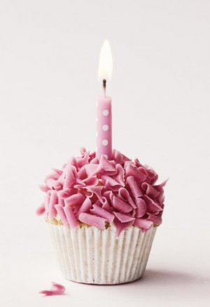 birthday cupcake.jpg