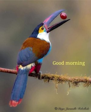 IMG_6570.jpeg