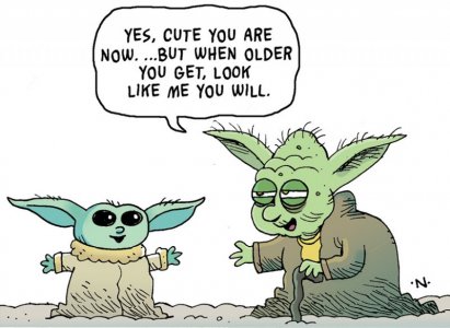 looklikeyoda.jpg