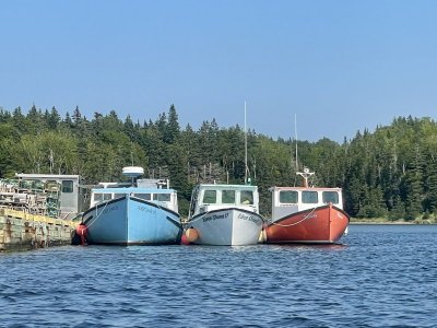 IMG_2299.jpeg