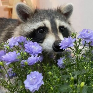 501b6c4c991584386508da4c3ea6e57b.jpg