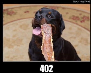 402.jpg