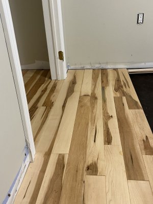 IMG_3231.jpeg IMG_3231.jpeg