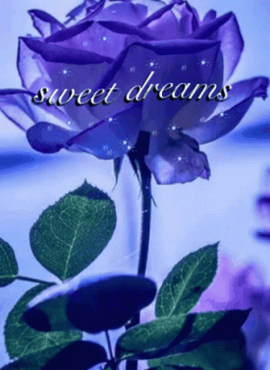 sweet-dreams-blue-rose.gif