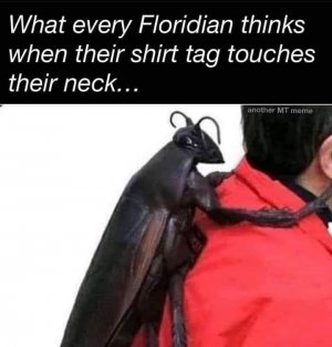 IMG_6609.jpeg