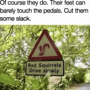 IMG_0445.jpeg
