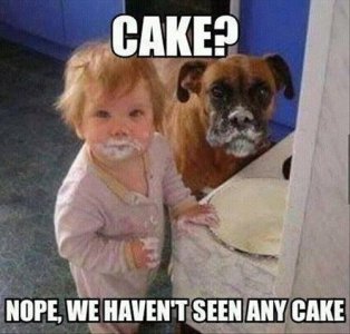 nocake.jpg