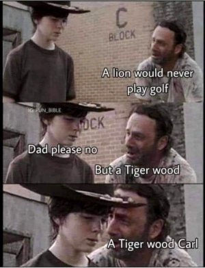 3.jpeg