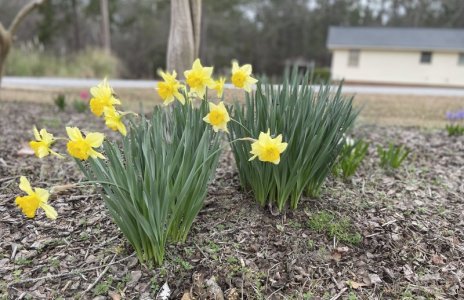 IMG_1106.jpeg