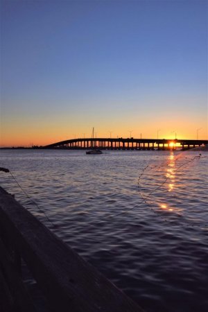 IMG_6547.jpeg