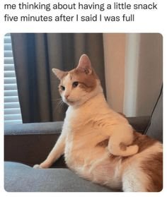 food funny.jpg