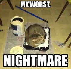 cat in paint.jpg