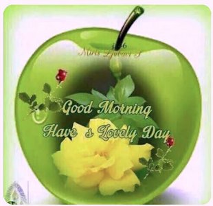 Good Morning apple copy.jpg