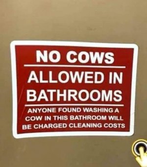 FB_IMG_1708380457368.jpg