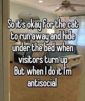 FB_IMG_1708284797663.jpg