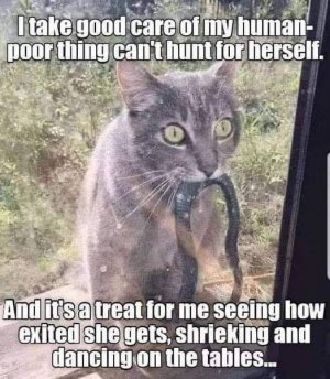 IMG_6615.jpeg