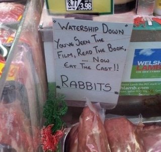 RABBITS.jpg